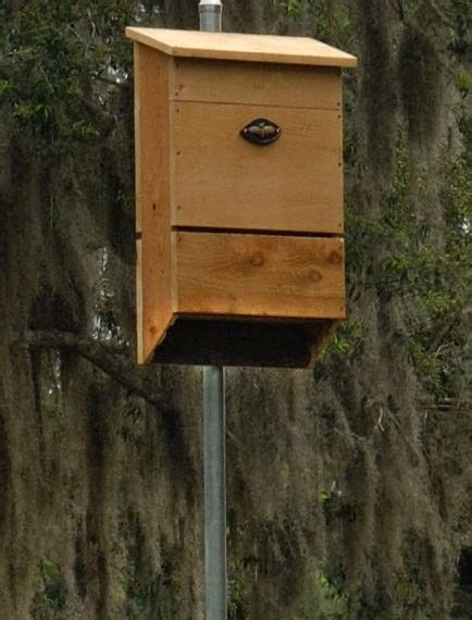 Bat House Information. About Our Bat Houses; FAQ; Comparison Table; Painting or Staining Region Map; Your Cart. Checkout; Loading... Home Reggie Regan 2024-02-04T16:05:00-05:00. Wildlife Habitats. View Cart. Rated 5.00 out of 5. Details ... Sale! View Cart. Add to cart / Details. Standard Wood Bat House Mount $ 39.95 $ 29.95. View Cart. …